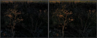 CrossView3D_2009-1031_IMG - 74