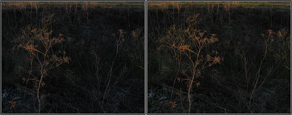 CrossView3D_2009-1031_IMG - 74