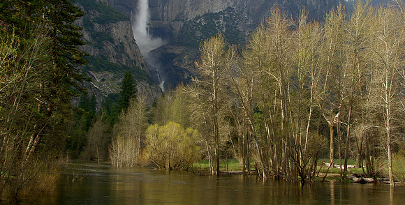 P4290794.JPG
