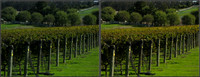 CrossView3D_2009-1031_IMG - 043