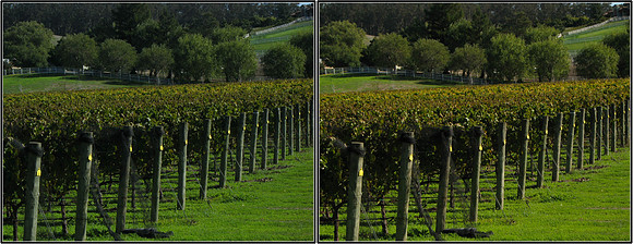 CrossView3D_2009-1031_IMG - 043