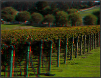Stereo Images