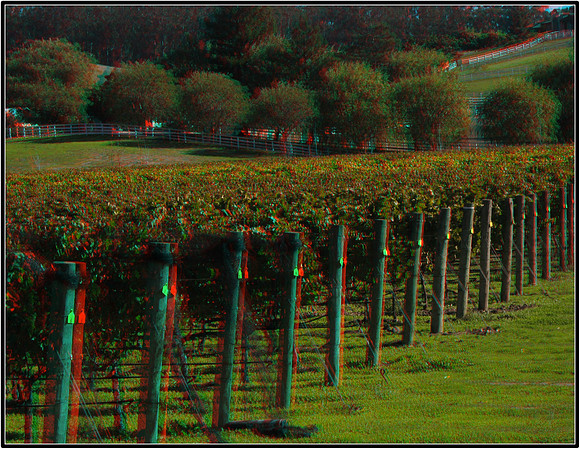 Anaglyph3D_2009-1031_IMG - 043