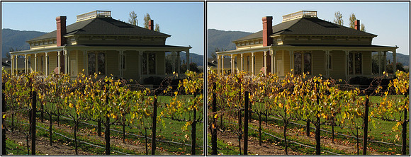 CrossView3D_2009-1031_IMG - 070