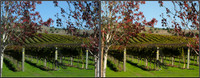 CrossView3D_2009-1031_IMG - 046
