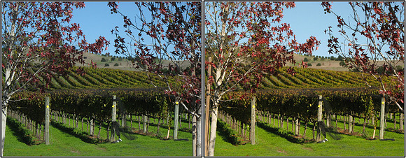 CrossView3D_2009-1031_IMG - 046