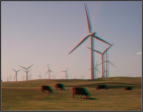 Anaglyph3D_2009-1031_IMG - 087
