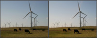 CrossView3D_2009-1031_IMG - 087