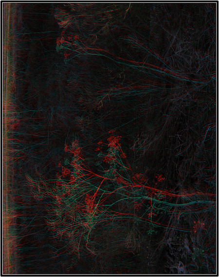Anaglyph3D_2009-1031_IMG - 74