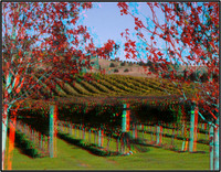 Anaglyph3D_2009-1031_IMG - 046