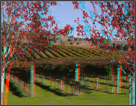 Anaglyph3D_2009-1031_IMG - 046